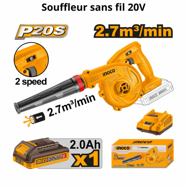 Soufleur sans fil 20v