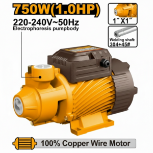 Pompe à eau 750 W (1,0 CV) VPM75068 Pompe périphérique INGCO avec turbine en laiton