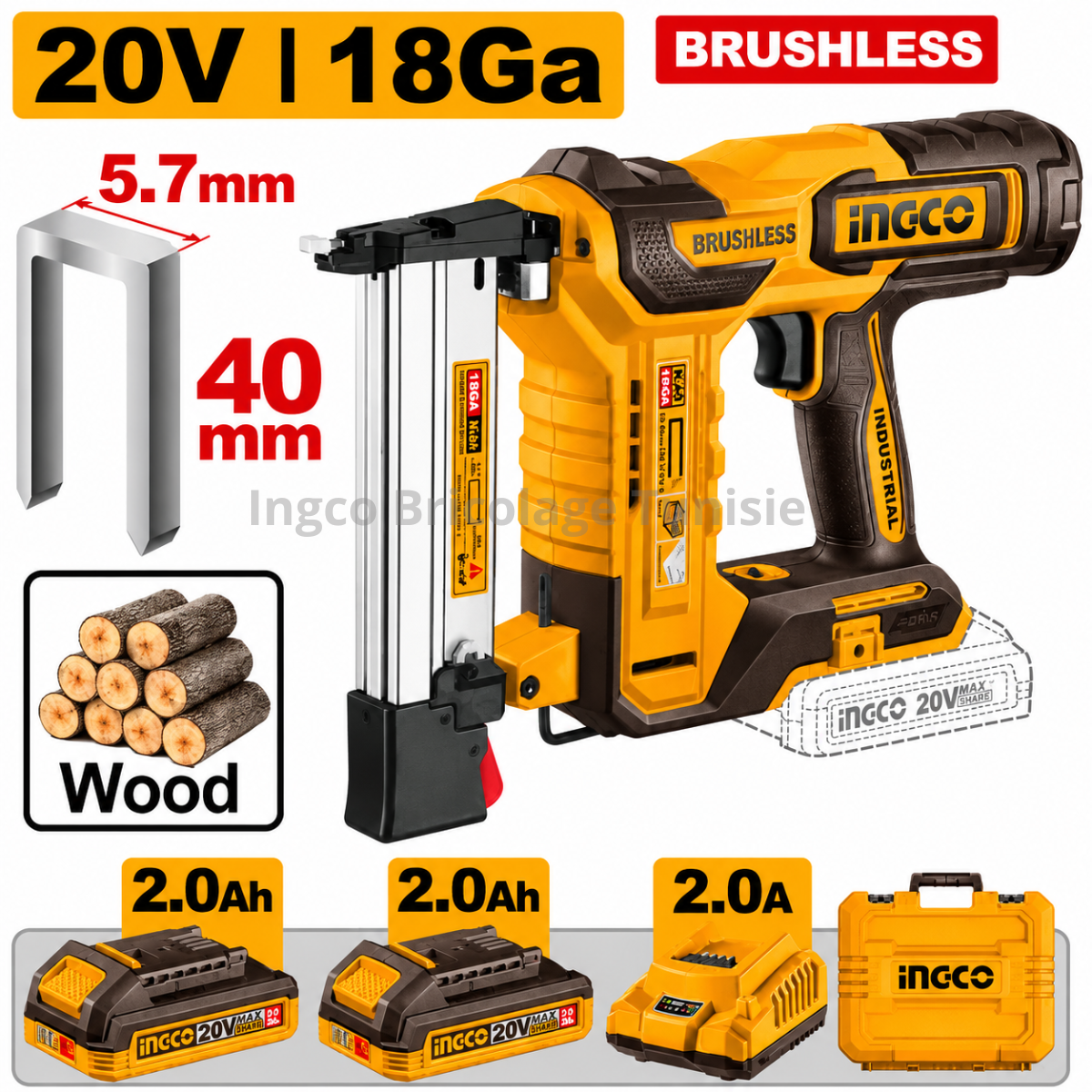 Agrafeuse-cloueuse sans fil INGCO CCSNLI6008 20V avec moteur brushless, batterie et mallette