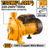 Pompe centrifuge 1HP INGCO CPM75068 750 W avec moteur cuivre, turbine en acier inoxydable et débit de 125 L/min.