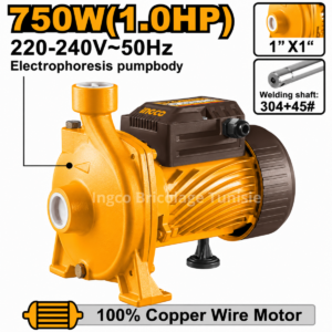 Pompe centrifuge 1HP INGCO CPM75068 750 W avec moteur cuivre, turbine en acier inoxydable et débit de 125 L/min.