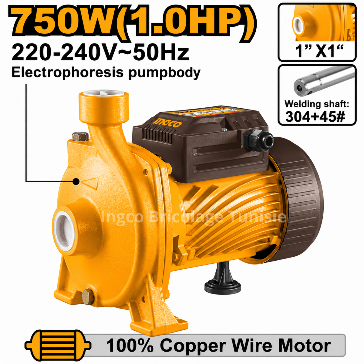 Pompe centrifuge 1HP INGCO CPM75068 750 W avec moteur cuivre, turbine en acier inoxydable et débit de 125 L/min.